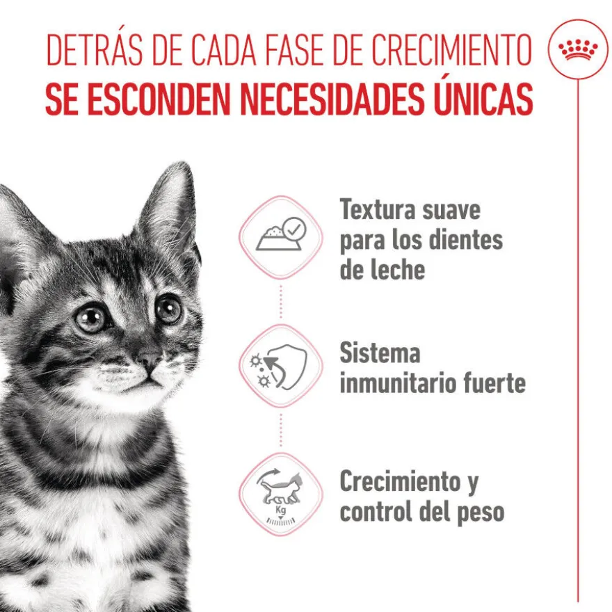 Royal Canin Kitten Sterilised gelatina para gatos