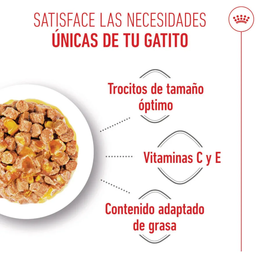 Royal Canin Kitten Sterilised gelatina para gatos