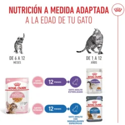 Royal Canin Kitten Sterilised gelatina para gatos