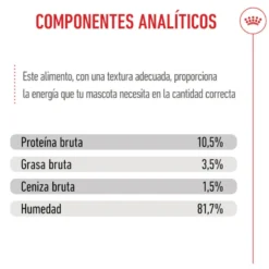 Royal Canin Kitten Sterilised gelatina para gatos