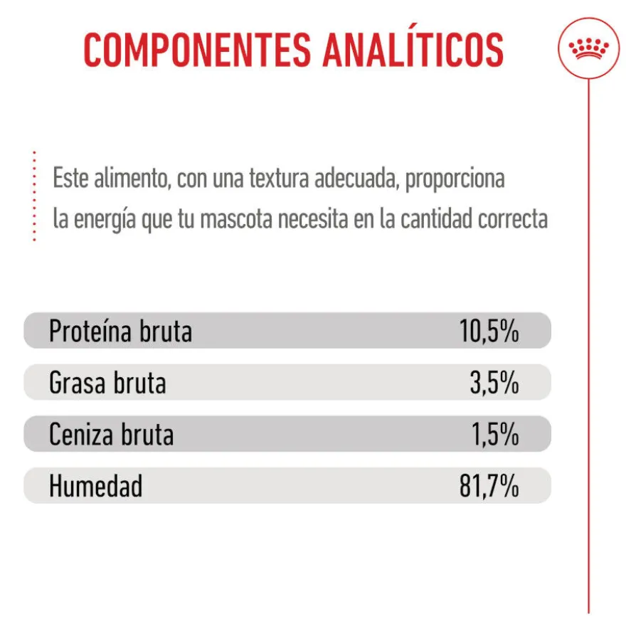 Royal Canin Kitten Sterilised gelatina para gatos