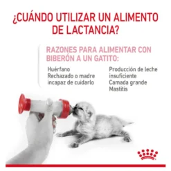 Royal Canin Leche para gatitos primer año