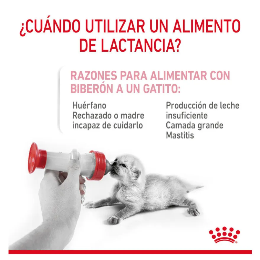 Royal Canin Leche para gatitos primer año