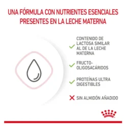 Royal Canin Leche para gatitos primer año