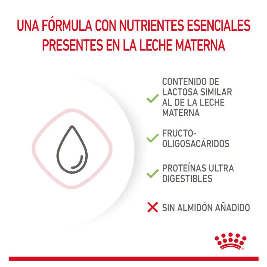 Royal Canin Leche para gatitos primer año