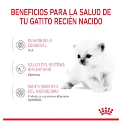 Royal Canin Leche para gatitos primer año