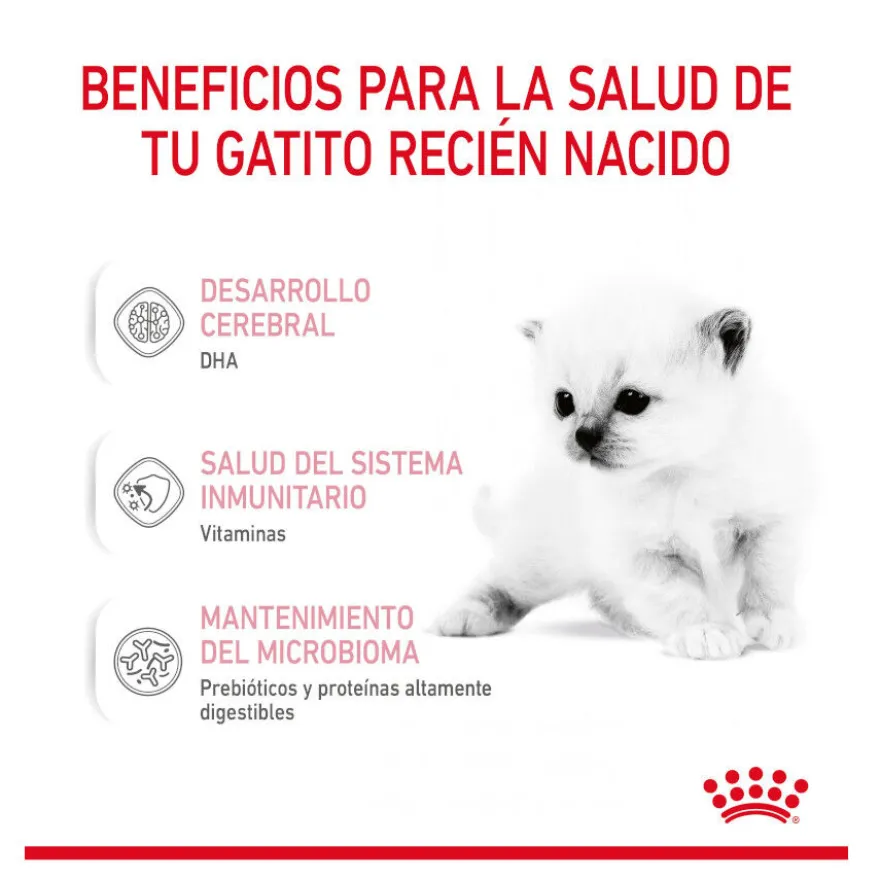 Royal Canin Leche para gatitos primer año