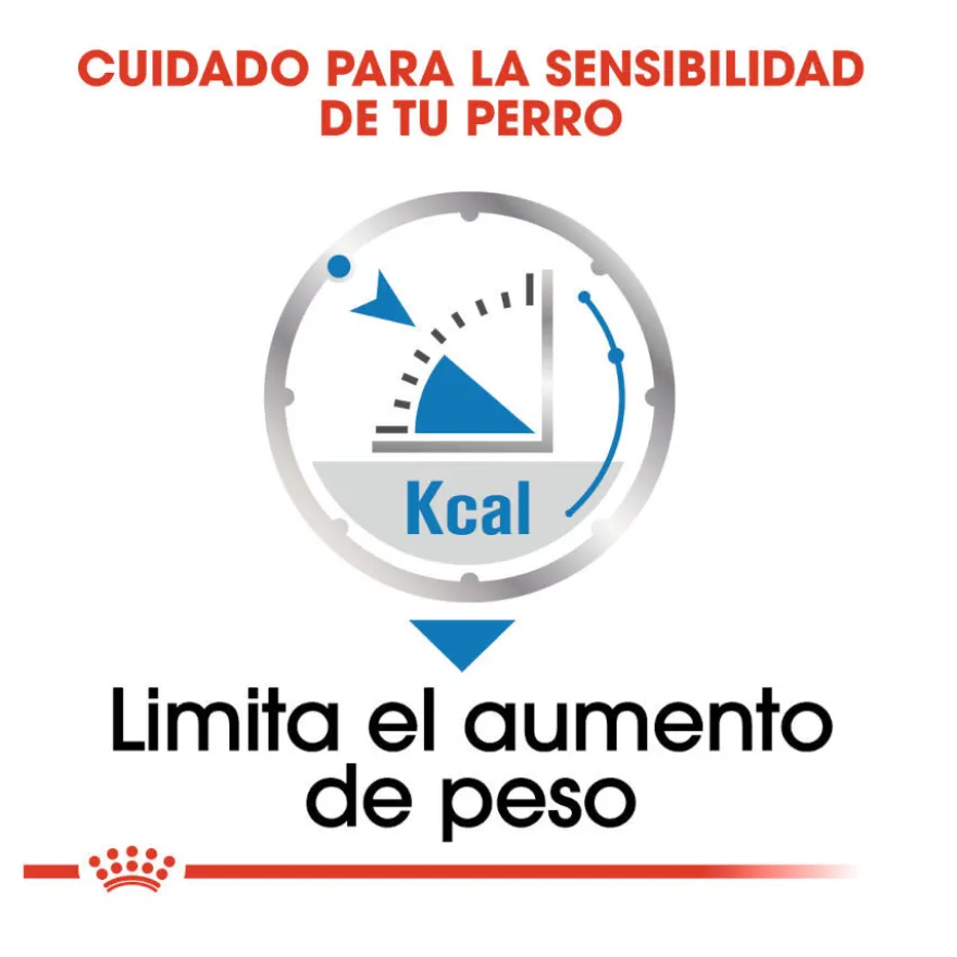 Royal Canin Light Weight Care Sobres Paté para perros