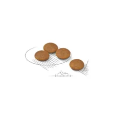 Royal Canin Light Weight Care X-Small pienso para perros