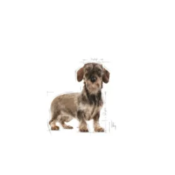 Royal Canin Light Weight Care X-Small pienso para perros