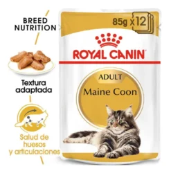 Royal Canin Maine Coon sobres para gatos