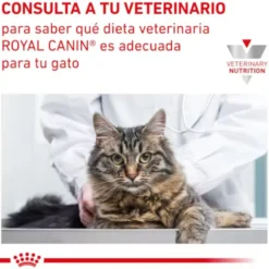 Royal Canin Mature Consult Láminas en Salsa Sobre para gatos