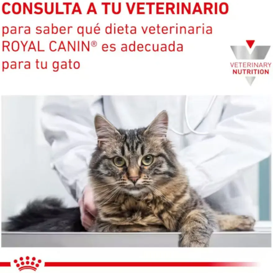 Royal Canin Mature Consult Láminas en Salsa Sobre para gatos