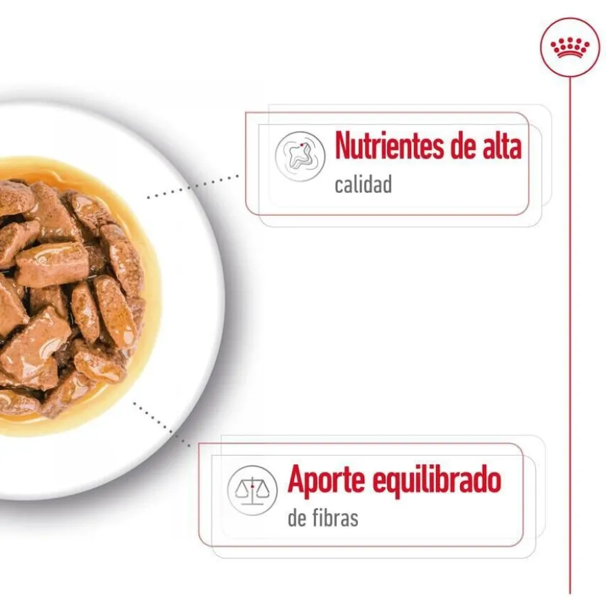 Royal Canin Maxi Adult Carne sobre en salsa para perros
