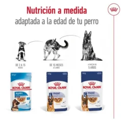 Royal Canin Maxi Adult Carne sobre en salsa para perros