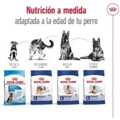 Royal Canin Maxi Adult pienso para perros