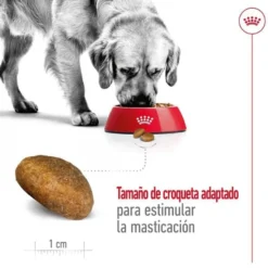 Royal Canin Maxi Adult pienso para perros