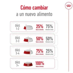 Royal Canin Maxi Adult 5+ pienso para perros senior de raza grande