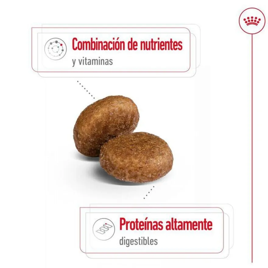 Royal Canin Maxi Adult 5+ pienso para perros senior de raza grande