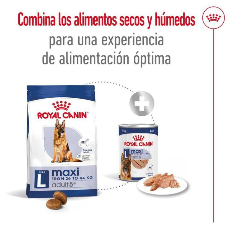 Royal Canin Maxi Adult 5+ pienso para perros senior de raza grande