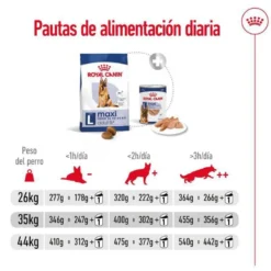 Royal Canin Maxi Adult 5+ pienso para perros senior de raza grande