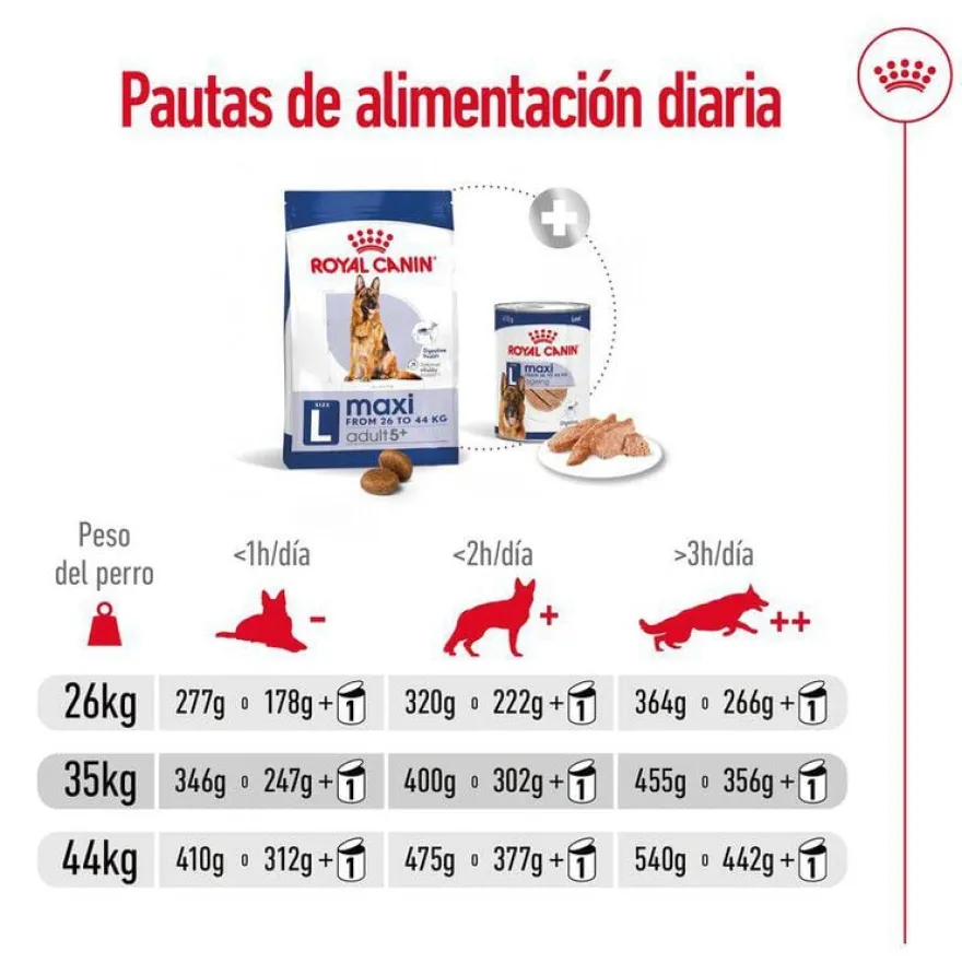 Royal Canin Maxi Adult 5+ pienso para perros senior de raza grande