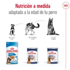 Royal Canin Maxi Ageing 5+ Paté lata para perros senior