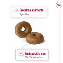 Royal Canin Maxi Ageing 8+ pienso para perros senior