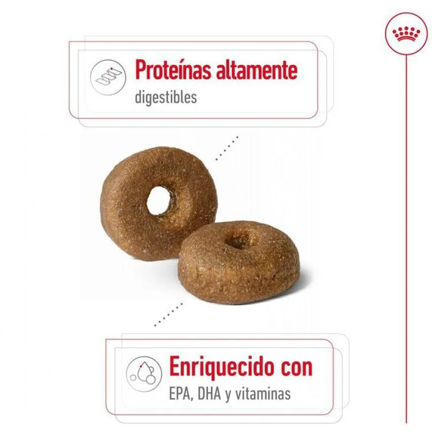 Royal Canin Maxi Ageing 8+ pienso para perros senior