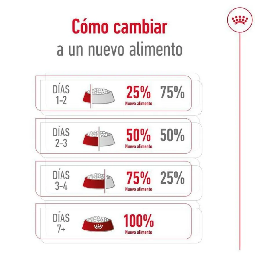 Royal Canin Maxi Ageing 8+ pienso para perros senior