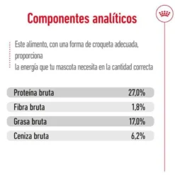 Royal Canin Maxi Ageing 8+ pienso para perros senior