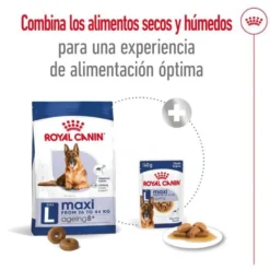 Royal Canin Maxi Ageing 8+ pienso para perros senior