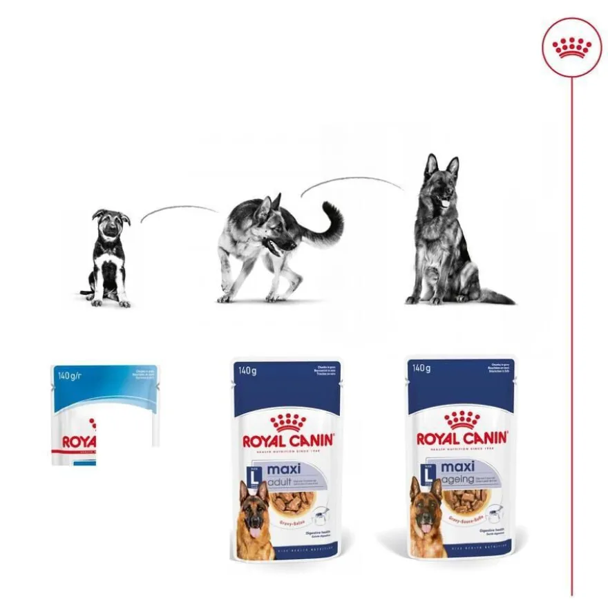 Royal Canin Maxi Ageing sobre en salsa para perros senior