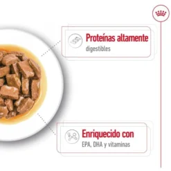 Royal Canin Maxi Ageing sobre en salsa para perros senior