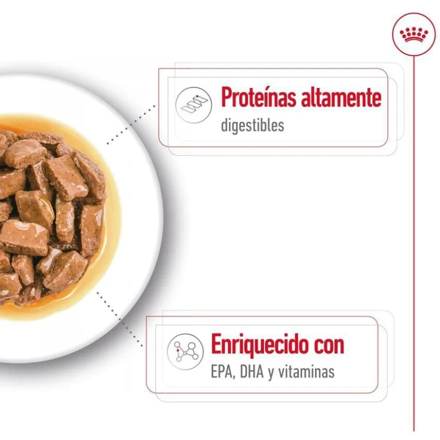 Royal Canin Maxi Ageing sobre en salsa para perros senior