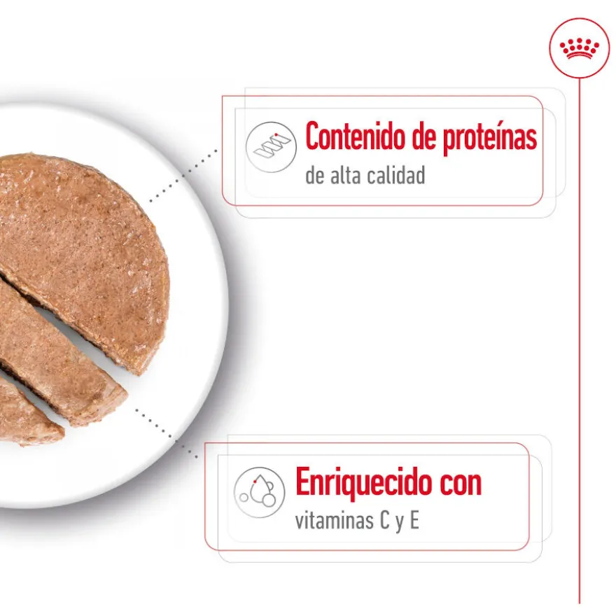Royal Canin Medium Adult Paté lata para perros