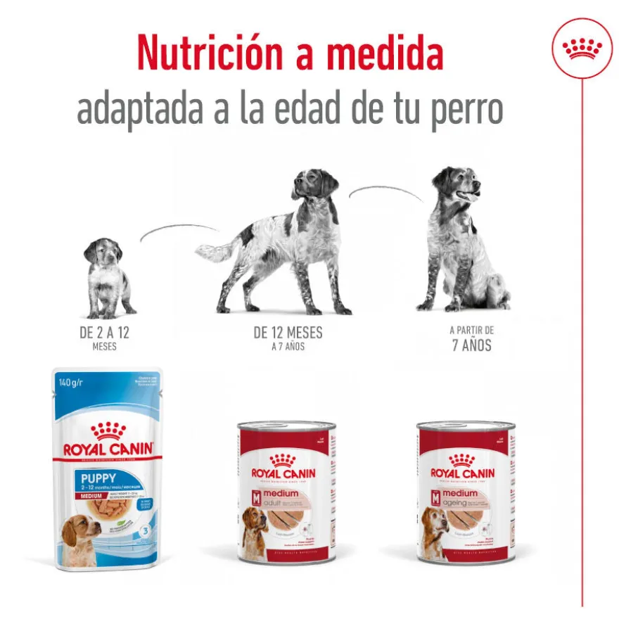 Royal Canin Medium Adult Paté lata para perros