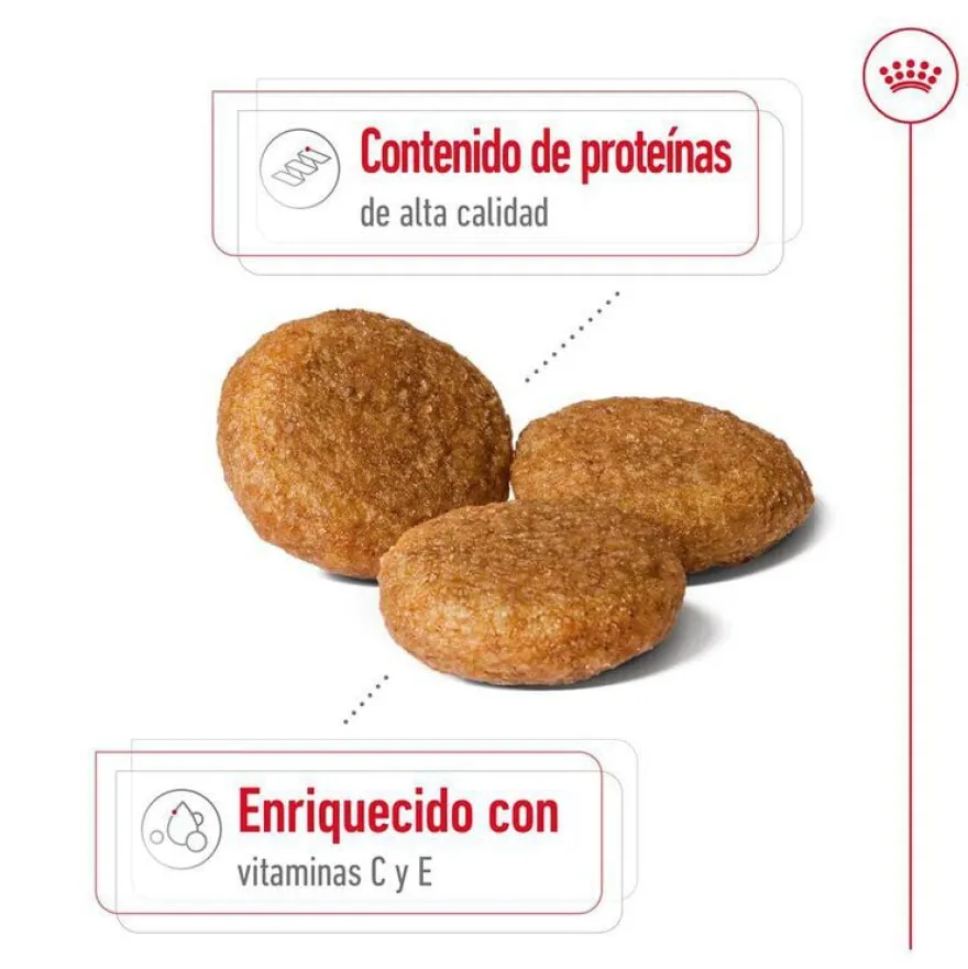 Royal Canin Medium Adult pienso para perros
