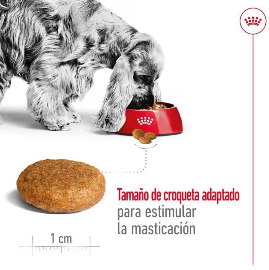 Royal Canin Medium Adult pienso para perros