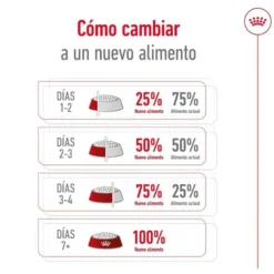 Royal Canin Medium 7+ Adult pienso para perros senior