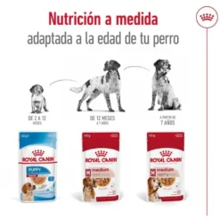 Royal Canin Medium Adult Sobre en salsa para perros
