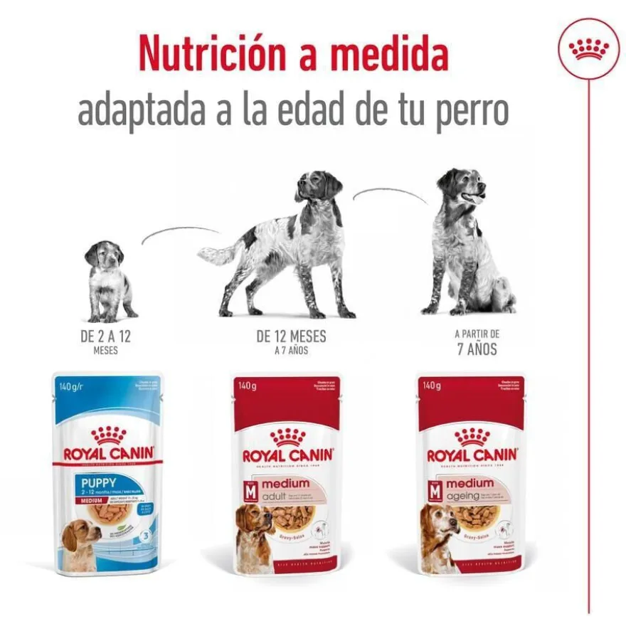 Royal Canin Medium Adult Sobre en salsa para perros