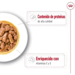 Royal Canin Medium Adult Sobre en salsa para perros
