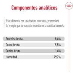 Royal Canin Medium 7+ Ageing lata para perros senior