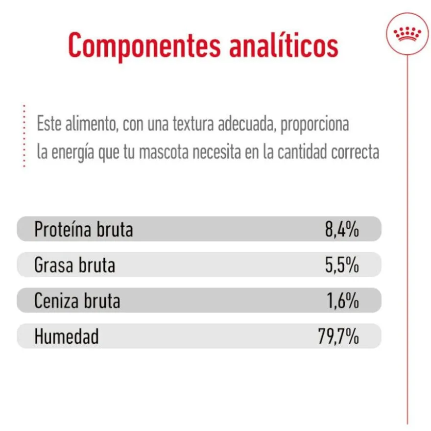 Royal Canin Medium 7+ Ageing lata para perros senior