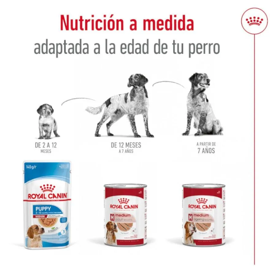 Royal Canin Medium 7+ Ageing lata para perros senior