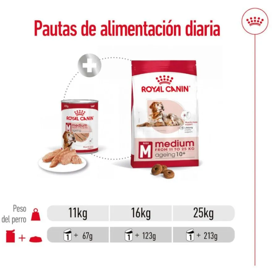 Royal Canin Medium 7+ Ageing lata para perros senior