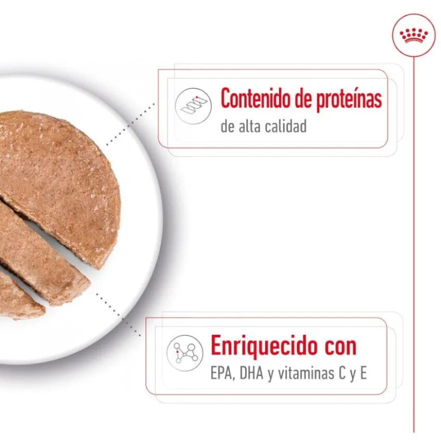 Royal Canin Medium 7+ Ageing lata para perros senior