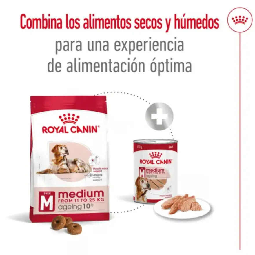 Royal Canin Medium 10+ Ageing pienso para perros senior