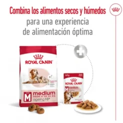 Royal Canin Medium 10+ Ageing pienso para perros senior